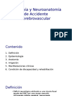 ACV Anatomía y Fisiopatología