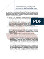 Cuidados de Las Lombrices PDF