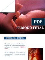 Periodo Fetal - Embriología I