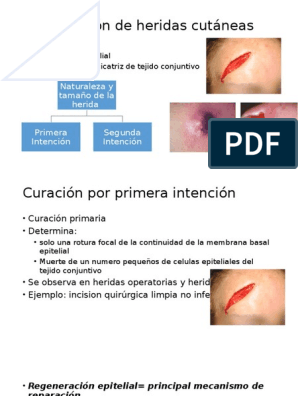 Anato Pato | PDF