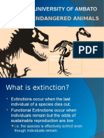 Extinctions Animals