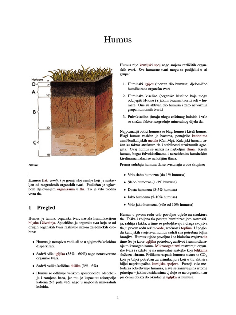 Humus | PDF