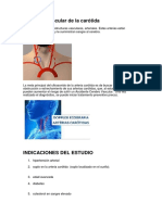 Ecografía Vascular de La Carótida