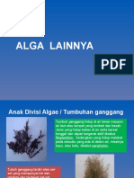 Alga Multiseluler