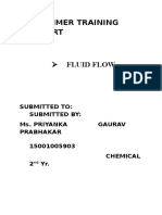 Fluid Flow Report