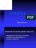 COLUNA 1