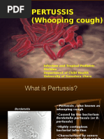 K 6 Pertussis