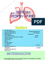 Los Pulmones