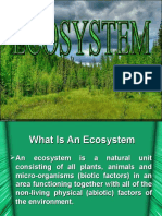 What Is An Ecosystem - 002