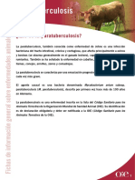 Paratuberculosis Es PDF