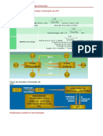 Tabela de Biologia - Biologia Molecular