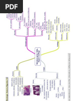 Biologia - Sistema Digestivo1 Estrutura