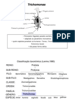 Biologia - Trichomonas Vaginalis