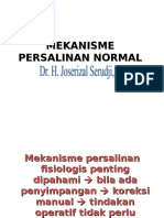 persalinan_normal_kuliah_blok_12.ppt