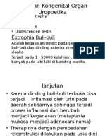 Kelainan Kogenital Organ Uropoetika