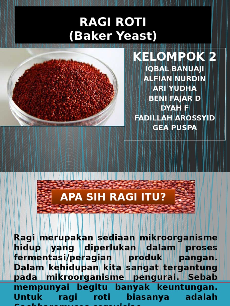 Peranan Ragi dalam Pembuatan Roti | PDF | Kesehatan Holistik