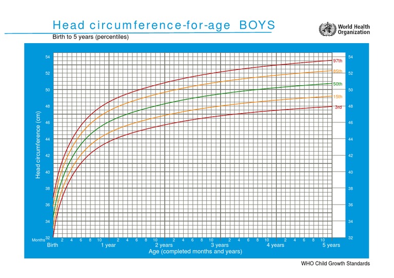 WHO Head Circumference Chart for Boys | PDF