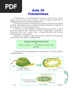 Biologia - Aula 10 - Fotossíntese