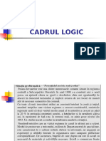 Seminar Cadrul Logic