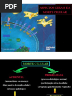 Biologia - Morte Celular