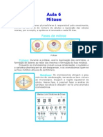 Biologia - Aula 06 - Mitose