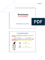 Técnicismos Morfología de Las Palabras.