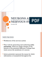Neurons and Nervous System