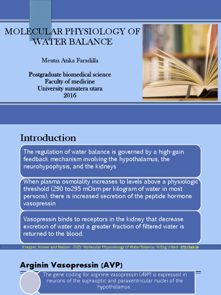 Molecular Physiology Of Water Balance Pdf Cell Membrane Endocrine