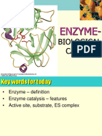 ENZYME