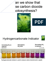 SAPS Photosynthesis Survival Guide PPT5