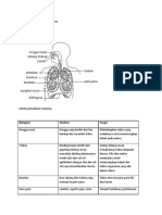 Mekanisme Pernafasan Manusia