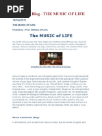 Download Stefano DAnna Blog by Didem SN29745849 doc pdf