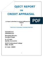 Project-Credit Appraisal - Roll No.511113351