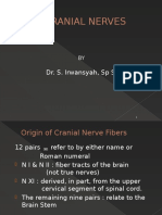 Cranial Nerves