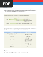 Expoente 10 Sintese Tema II