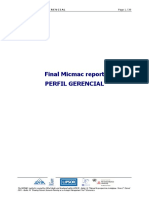 Rapport Final Micmac - Perfil Gerencial