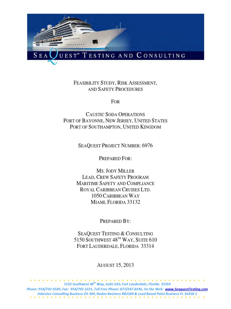 Caustic Soda Feasibility Study PDF Dangerous Goods Sodium Hydroxide