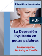 La Depresion Explicada Pocas Palabras-una Guia Para Paciente Familiares