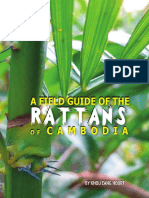 Rattan of Cambodia Guide