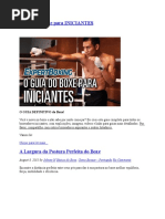 o Guia Do Boxe Para Iniciantes