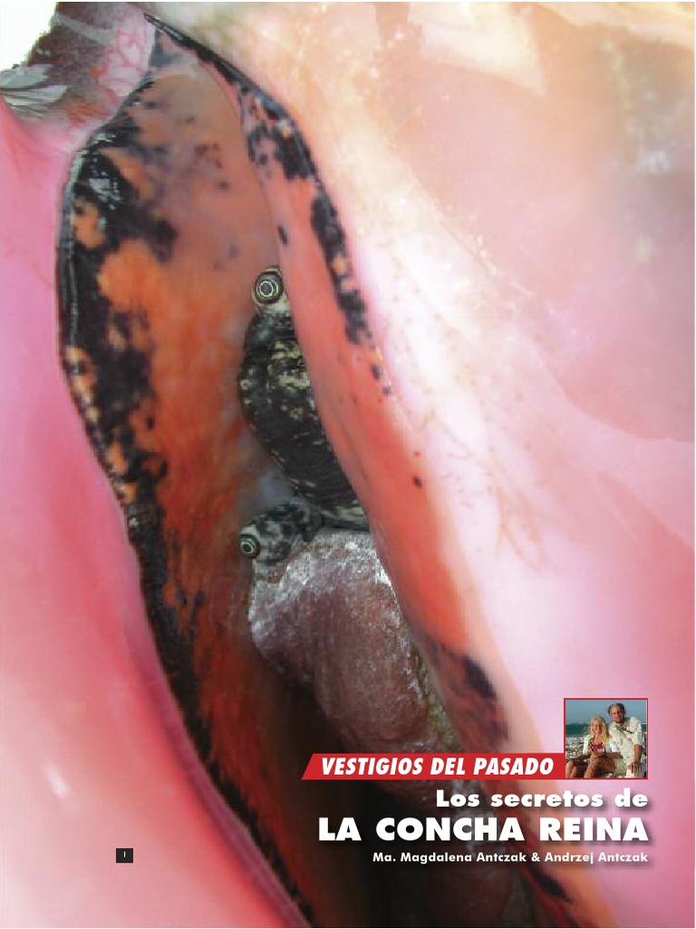 Los Secretos de La Concha Reina | PDF | Arqueología | Isla