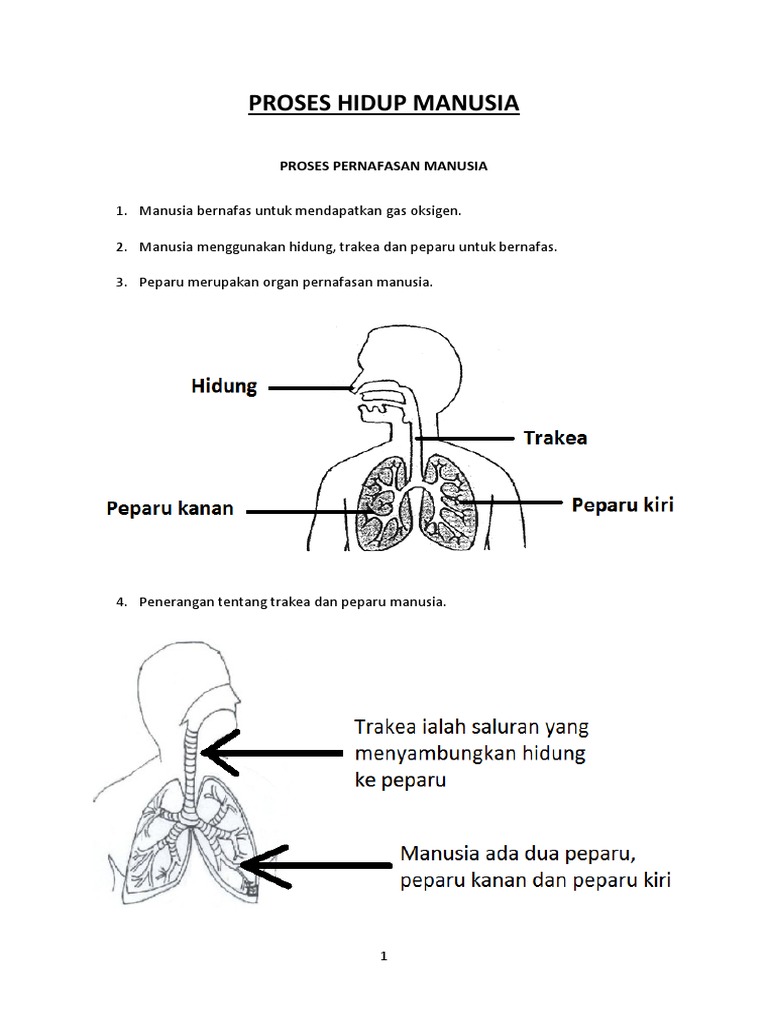 Nota Sains Tahun 4
