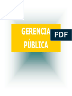 GEPU - UNMSM - Gerencia Pública