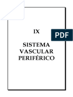 Sistema Vascular Periférico