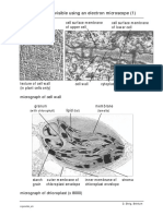 Ws Organelles Photos