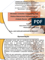 Conexões Conclusivas_Anne Císera_PEGP.ppt