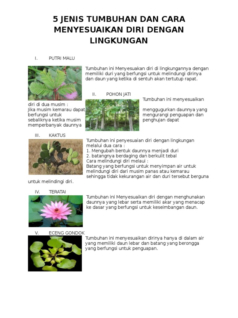 5 Jenis Tumbuhan Dan Cara Menyesuaikan Diri Dengan Lingkungan Pdf