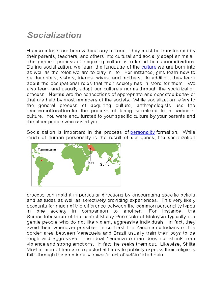 Socialization | PDF