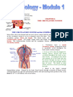 CH 6 - The Circulatory System PDF