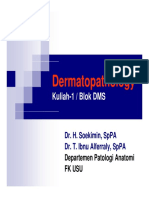 Dms146 Slide Dermatopathology